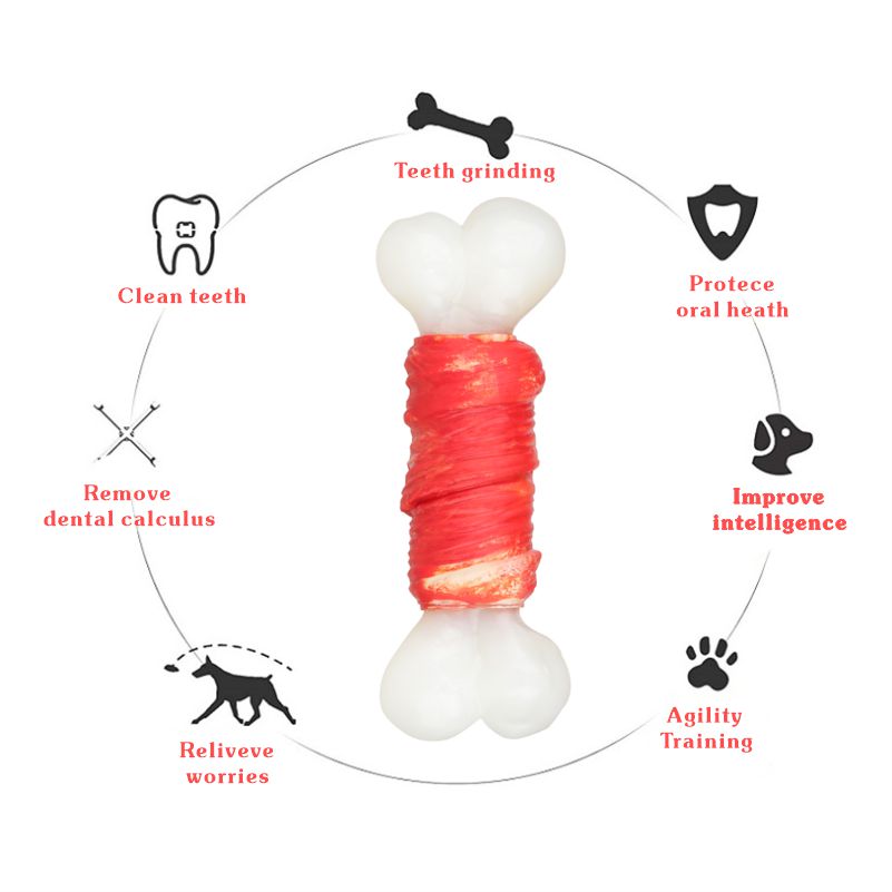 Top Selling Toys in China Made with Safe Materials Chewy Nylon Dog Toys Safe