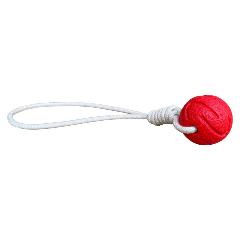 New Dog Leash + Ball Design To Interact with The Dog Tug of War Indestructible Dog Ball Floats on The Water