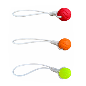 Wholesale E-TPU Indestructible Pet Rope Ball Toys Interactive Dog Toy for Chewers Playing Training