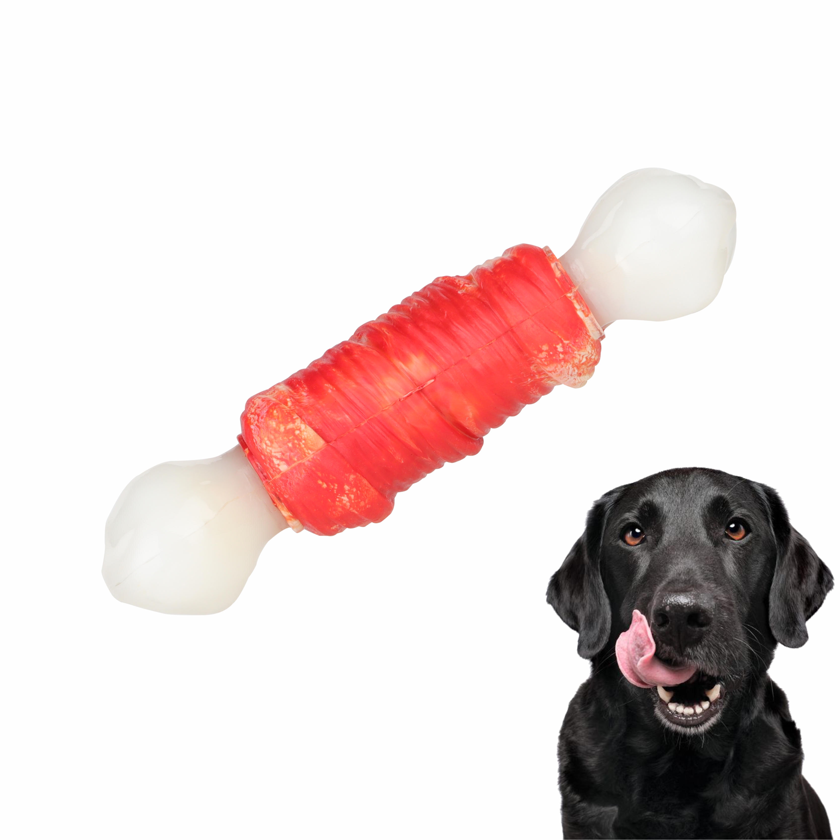 Nylon Vs Rubber Dog Toy Bone Dog Chew Toys Natural Rubber Chewing Dog Toys Buy nylon bone dog