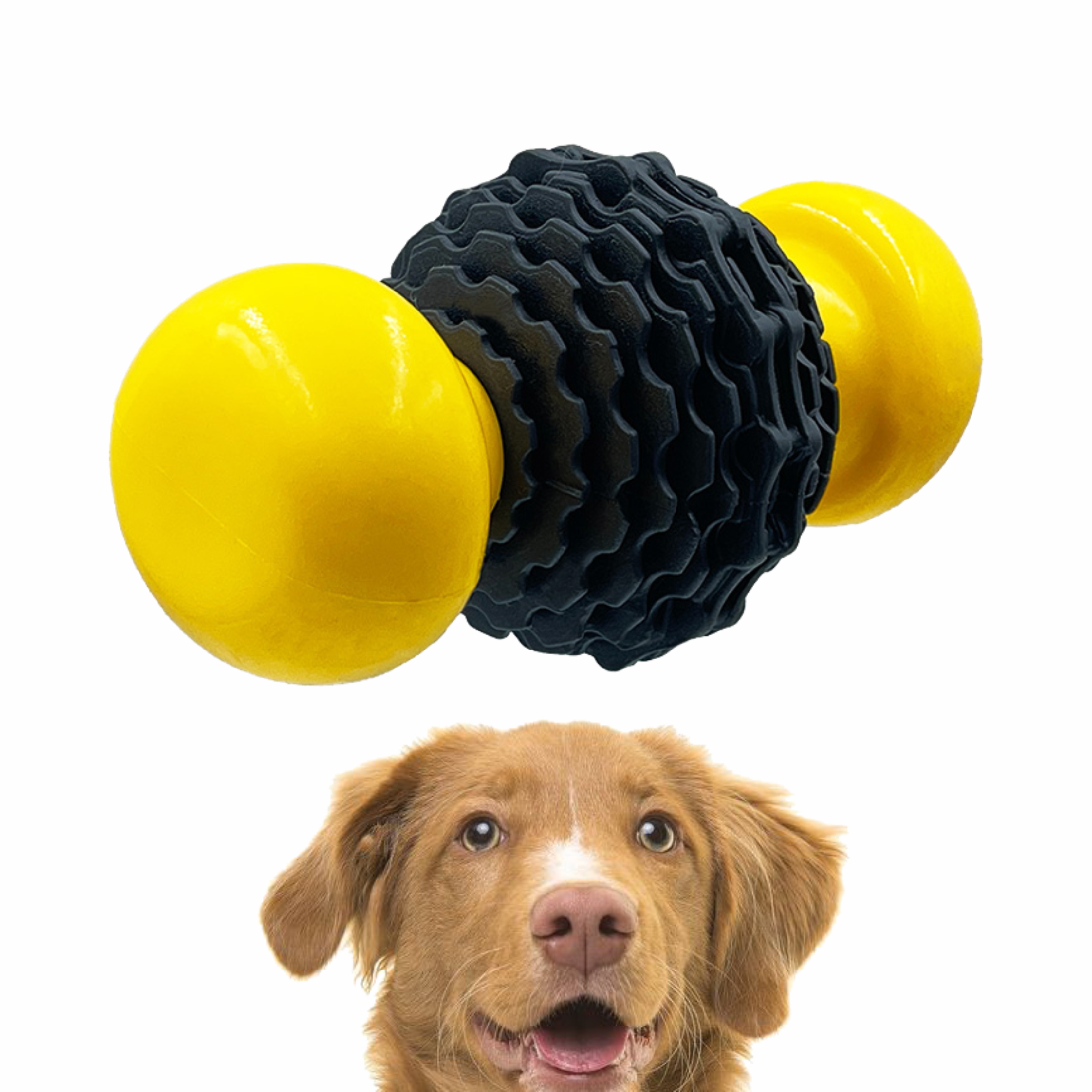 Nylon Vs Rubber Safe Play Dog Toys for Super Chewers Buy nylon dog