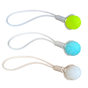 An Interactive Dog Toy That Reduces Anxiety And Avoids Destructive Chews Made of E-TPU Is Ball for Training Dog Sports