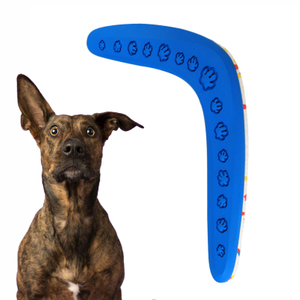 Amazon Top seller wholsales Rubber And E-tpu Mixed Eco-Friendly Outdoors Toys Sport Flying Disc Boomerang for Dog Playing