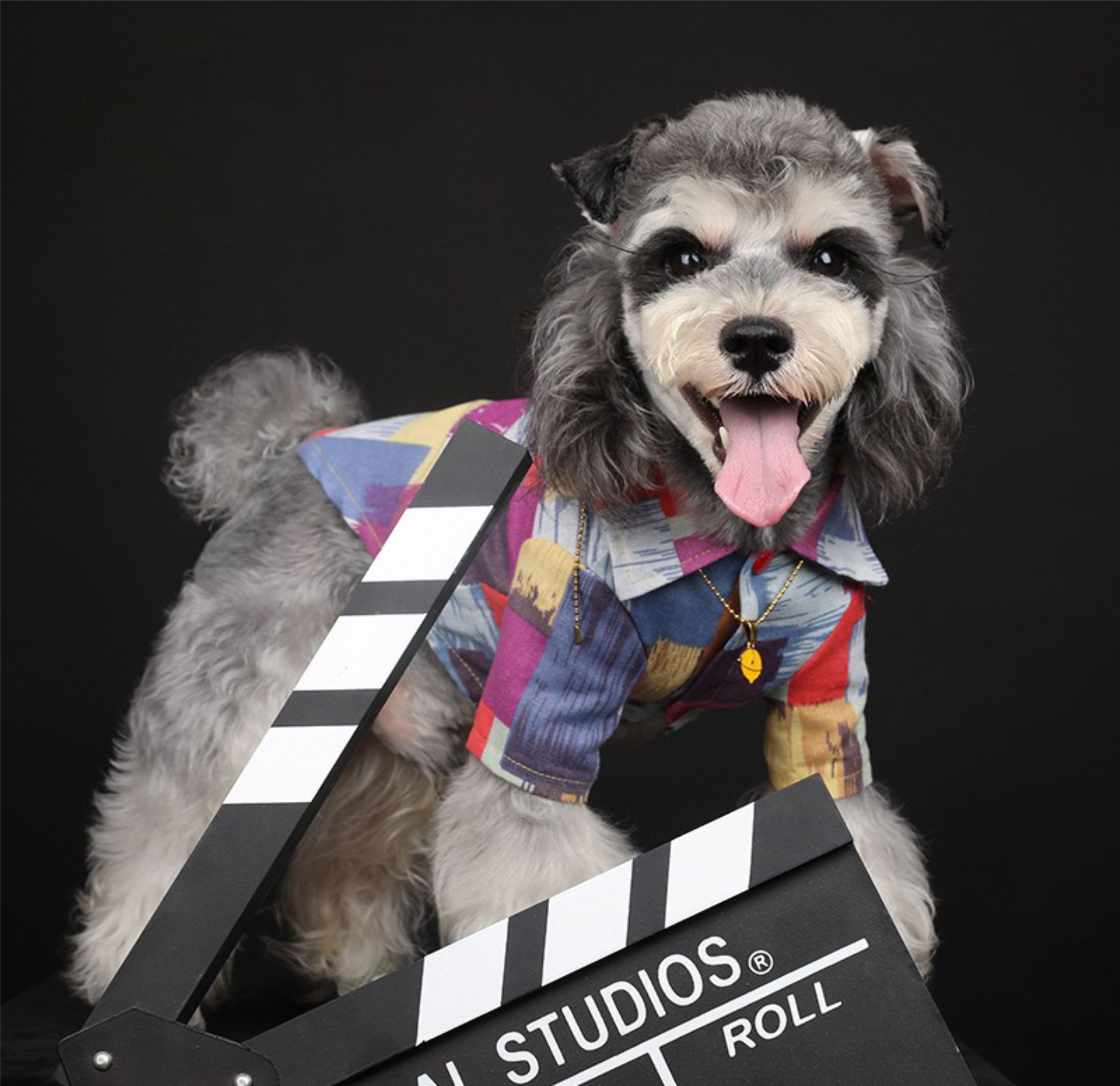 High Value Mixed Color Design Dog Shirt Is Made of Soft And Comfortable