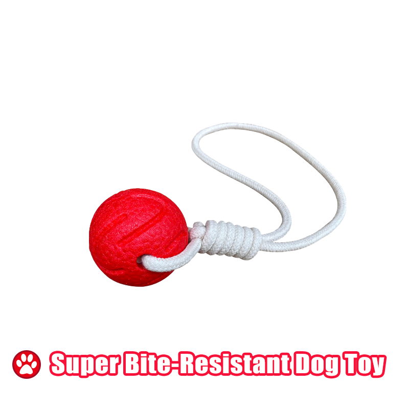 Most EcoFriendly Dog Toys Made of ETPU Material Durable and