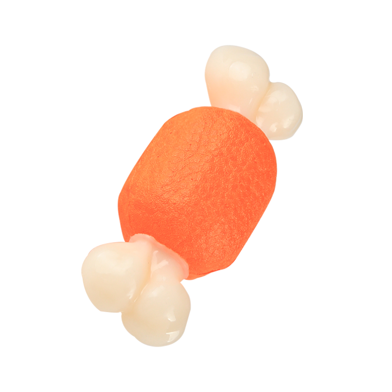 Reduce anxiety for chewers Bone toy made of chewy and eco-friendly material Indestructible nylon Chewing Toy