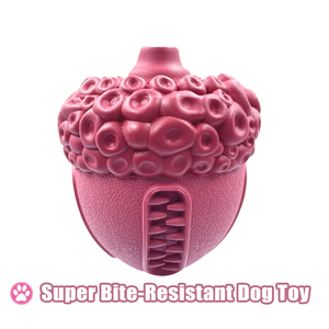 New on Fun Toys Made of Natural Rubber Safe Non-Toxic Soft Squeaky Dog Toys for Medium and Large Dogs to Chew